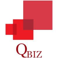 Qbiz Consulting image 1